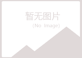 铁山港区从寒机械有限公司